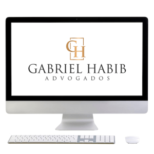 Professor Gabriel Habib