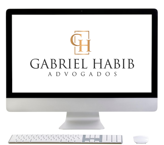 Professor Gabriel Habib